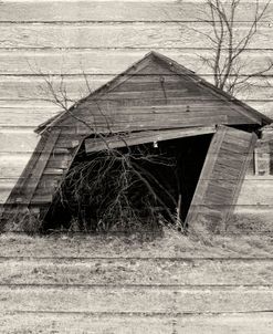 Lost Farmstead on the Prairie 068