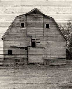 Lost Farmstead on the Prairie 069