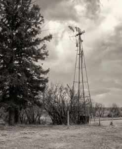 Lost Farmstead on the Prairie 071