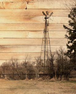 Lost Farmstead on the Prairie 078