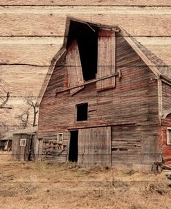 Lost Farmstead on the Prairie 079