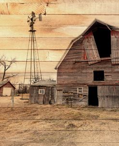 Lost Farmstead on the Prairie 080