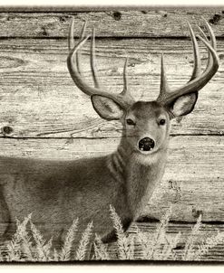 Woodgrain Antiques Whitetail Buck 2