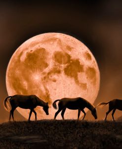 Moonrise Over the Badlands