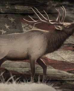 Woodgrain Antiques American Elk
