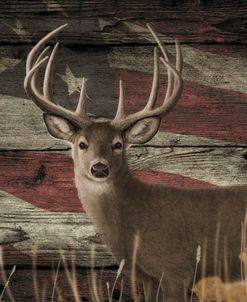 Woodgrain Antiques Whitetail Buck 3