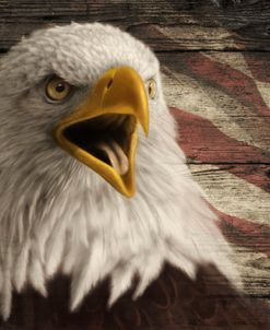 Woodgrain Antiques Bald Eagle 3