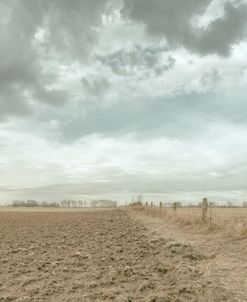 Dakota Prairie 05