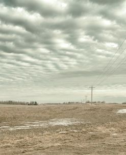 Dakota Prairie 06