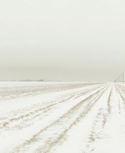 Dakota Prairie 07