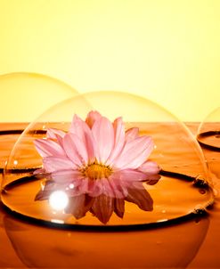 Bubbles 02
