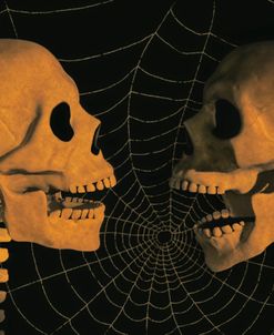 Halloween Skulls 02