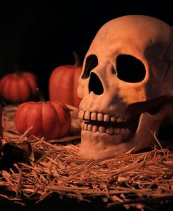 Halloween Skulls 03