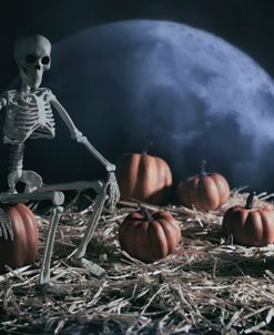 Halloween Skeletons 01