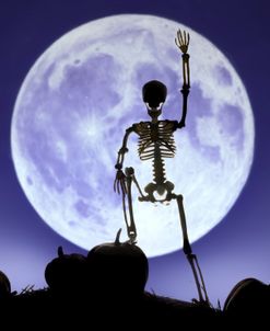 Halloween Skeletons 03