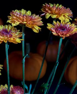Flowers Of Autumn 06