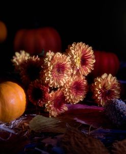 Flowers Of Autumn 07 Copy