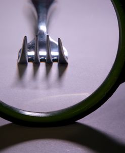 Magnification 01