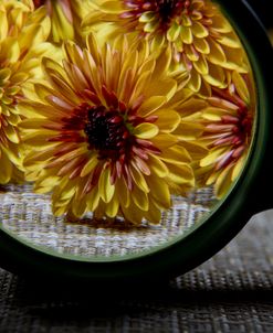 Magnification 05