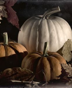 Vintage Autumn 10