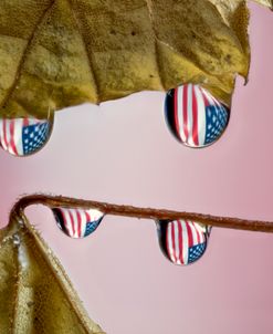 Autumn In America 02