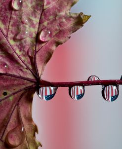 Autumn In America 03