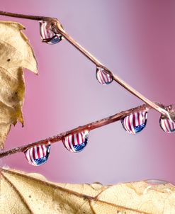 Autumn In America 04