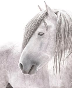 Mustang of the Badlands