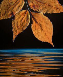 Autumn on the Red 09