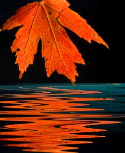 Autumn on the Red 15