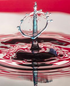 Drop Splash 31