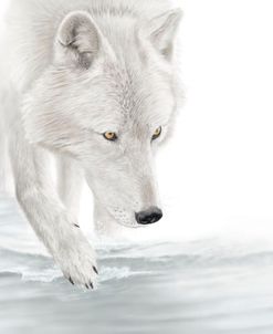 River Wolf