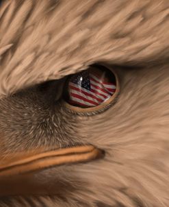 Eagle Eye