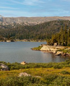 Summer In The Tetons 01
