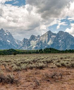 Summer In The Tetons 02