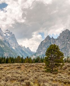 Summer In The Tetons 03