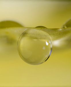 Ultra Macro 09