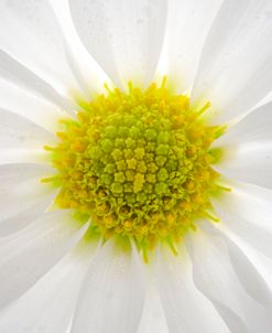 Ultra Macro 12