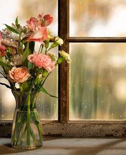 Backroom Windows