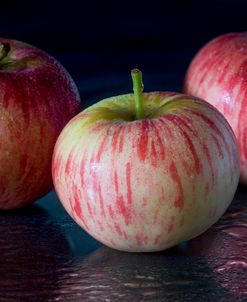 Wild Apples 02
