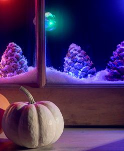 Backroom Window