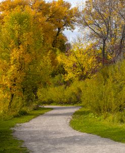 Red River Autumn 08