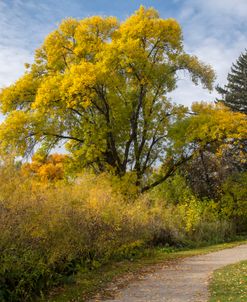 Red River Autumn 07