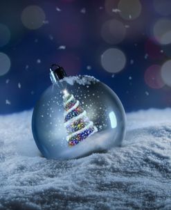 Christmas Reflections