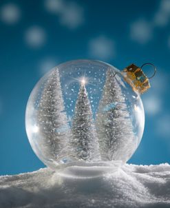 Christmas Reflections 03