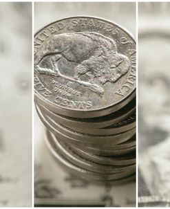 A Dollar And Change 02