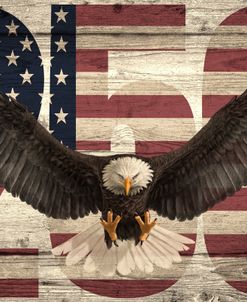 250 Years-A USA Celebration 2