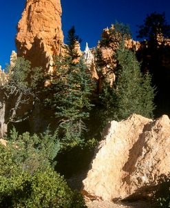 D- Bryce Canyon