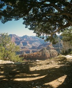 D- Grand Canyon