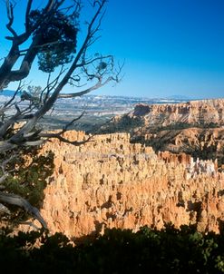 E- Bryce Canyon